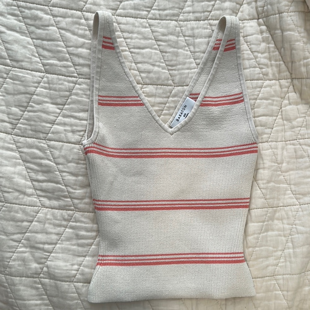 Babaton Aritzia top